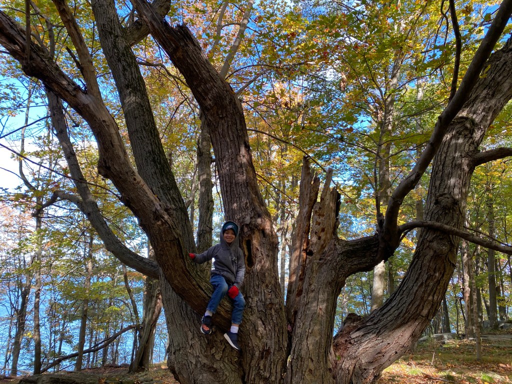 Dr. Wagner’s Weekly Message: My Body feels&nbsp;Calmer